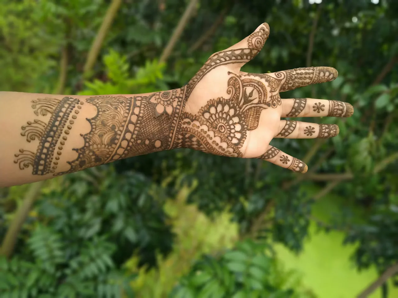indian mehndi design — indian, jaal, full, bridal #057 · MyMehndiDesigns.com