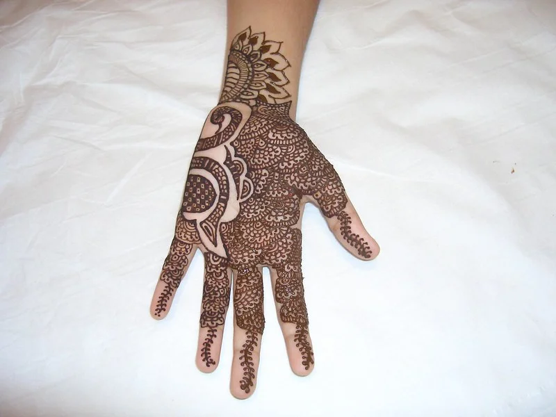 indian mehndi design — indian, rajasthani, jaal, paisley #048 · MyMehndiDesigns.com